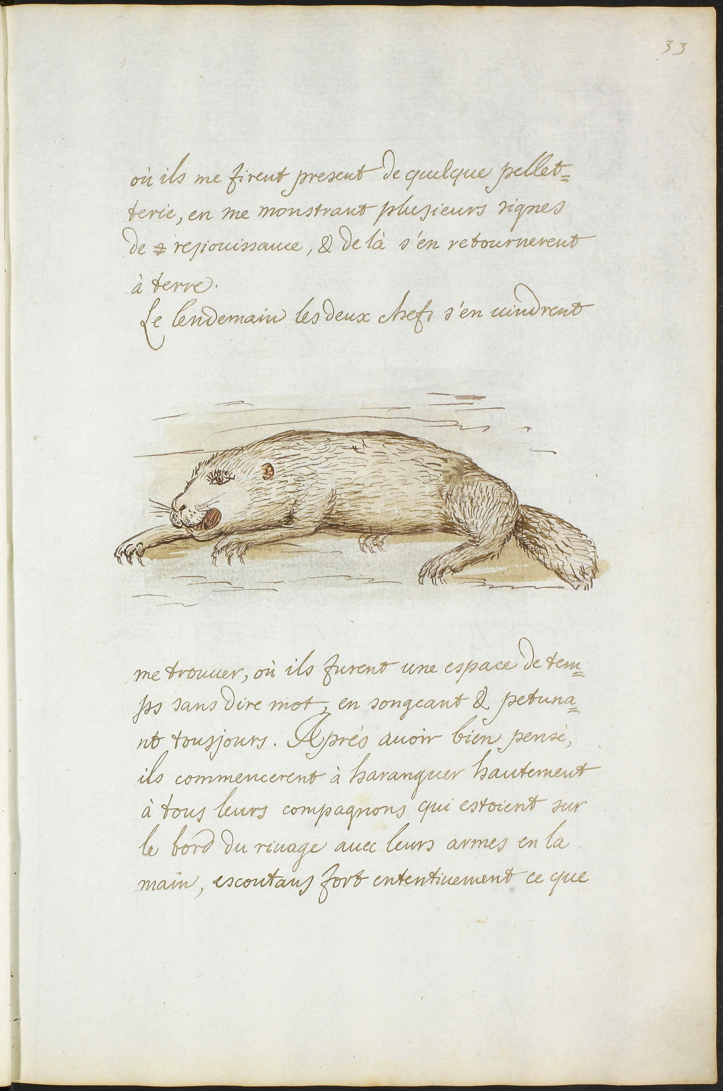 Document example